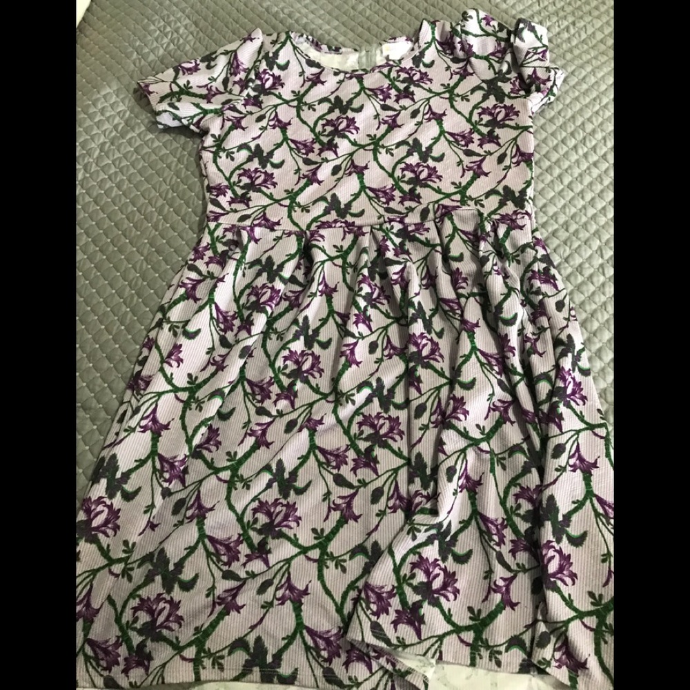 Lularoe Amelia.